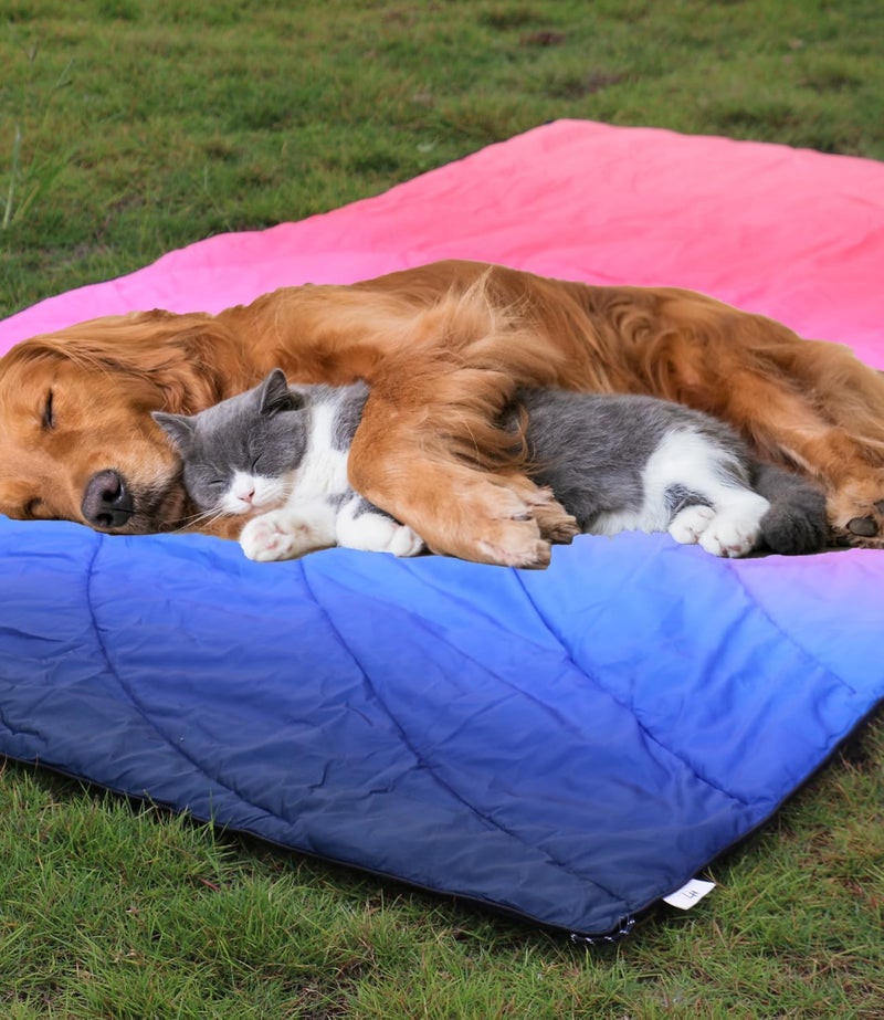 LH Outdoor Puffy Camping Blanket, Lightweight Down Alternative Puffy Waterproof Stadium Blanket with Portable Bag, Lightweight Camping Blanket for 2 People, Cold Weather, Sports, Travel, Car, 79*54 inch - Image 5